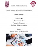 Resumen Analítico Planeación Financiera