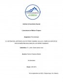 EL SISTEMA DEL ANTÍGENO LEUCOCITARIO HUMANO (HLA) (EL COMPLEJO MAYOR DE HISTOCOMPATIBILIDAD [CMH] EN LOS SERES HUMANOS