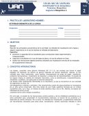 Actividad enzimática de la lipasa