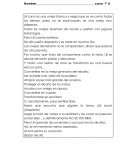 Plan Lector Lili Lana