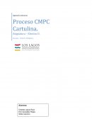 Proceso de la cartulina