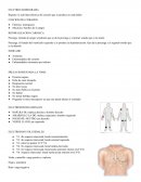 ELECTROCARDIOGRAMA