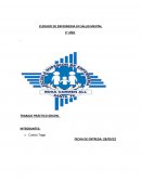 CUIDADO DE ENFERMERIA EN SALUD MENTAL