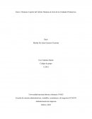 Destacar el aporte del Talento Humano al éxito de las Unidades Productivas