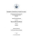 Reporte de investigación sobre violencia intrafamiliar en Puebla