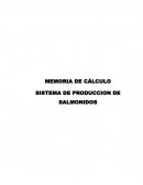 MEMORIA DE CÁLCULO SISTEMA DE PRODUCCION DE SALMONIDOS