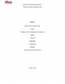 ENSAYO - DILEMA DE LAS REDES SOCIALES