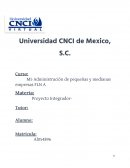 Proyecto integrador administracion de empresas