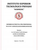 INFORME DE PRÁCTICA PRE-PROFESIONAL