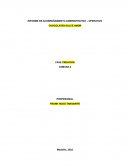 INFORME DE ACOMPAÑAMIENTO ADMINISTRATIVO – OPERATIVO. CHOCOLATES DULCE AMOR