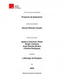 Liderazgo de Equipos