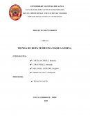 PROYECTO DE INVERSIÓN. TIENDA DE ROPA FEMENINA MARCA ANDINA