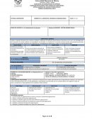 PLANEACIÓN INSTITUCIONAL POR EL MODELO DE COMPETENCIAS