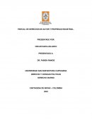 PARCIAL DE DERECHOS DE AUTOR Y PROPIEDAD INDUSTRIAL