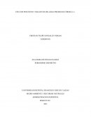 EFECTOS POSITIVOS Y NEGATIVOS DEL GRAN PREMIO DE FÓRMULA 1