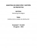 Análisis de los canales de distribución