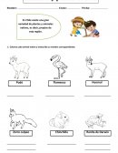 Animales y plantas nativas