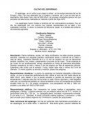 Cultivo de espárragos para exportación