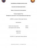 Estrategia de conservación in vitro de germoplasma para Agave sp