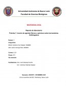 Acción de agentes físicos y químicos sobre las bacterias: Antibiograma
