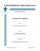 TIPOS DE NORMAS DE CONDUCTA . NORMAS JURÍDICAS