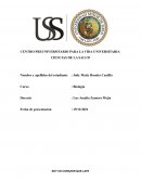 Texto argumentativo :SOY UN CORAZON QUE LATE