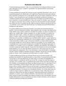 IDEAS REFLEXIVAS DEL VIDEO FAKE ORGASM