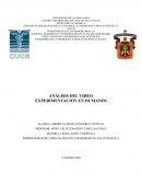 ANÁLISIS DEL VIDEO EXPERIMENTACIÓN EN HUMANOS