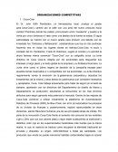 ORGANIZACIONES COMPETITIVAS