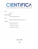 Estudio de Externalidades de la MYPE “Busser S.A.C.”