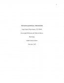 Tolerancias geometricas y dimensionales