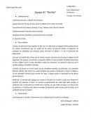 Adaptacion anatomica