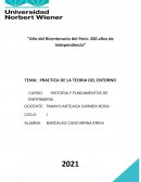 PRACTICA DE LA TEORIA DEL ENTORNO