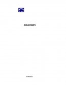 ¿Qué son las anualidades?