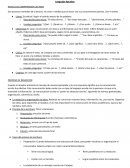 Lenguaje Apuntes