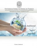 Cultura Ambietal Actividad 2