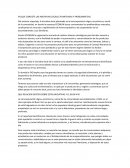 EN QUE CONSISTE LAS INICIATIVAS LOCALES PLANTEADAS Y PROBLEMATICAS