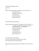 CREATE DATABASE Bedidas_Alcholicas