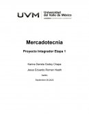 Mercadotecnia Proyecto Integrador Etapa 1