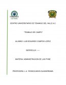 Administracion de las Pyme “Cremitas Don Sil”