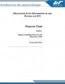 Observación de las Glucometrías de una Persona con DT1