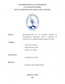 IMPLEMENTACIÓN DE UN CHATBOT BASADO EN INTELIGENCIA ARTIFICIAL PARA EL SOPORTE AL CLIENTE DE LA EMPRESA PANIFICADORA FITO PAN