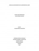 ANÁLISIS DEL SECTOR ENERGÉTICO EN EL DEPARTAMENTO DEL CHOCÓ