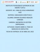ENSAYO SOBRE EL TEMA DE MANEJOS DE CONFLICTOS