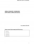 MÒDUL DIVERSITAT I CONNEXIONS ENTRE ÀREES CURRICULARS (DCAC)