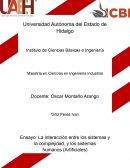 La interacción entre los sistemas y la complejidad, y los sistemas humanos (Artificiales)