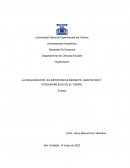 LA ORGANIZACIÓN, SU IMPORTANCIA INERENTE, ADAPTACION Y PERDURABILIDAD EN EL TIEMPO