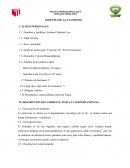 ESQUEMA DE LA ANAMNESIS
