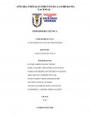 ENFERMERIA TÉCNICA UNIDAD DIDACTICA: ACTIVIDADES EN SALUD COMUNITARIA