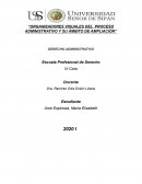 Organizadores visuales del proceso administrativo y su ámbito de ampliación